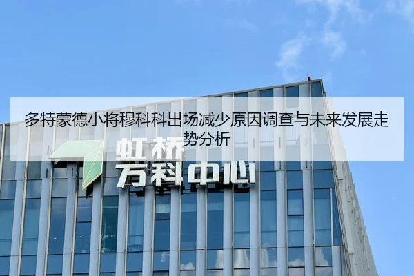 多特蒙德小将穆科科出场减少原因调查与未来发展走势分析