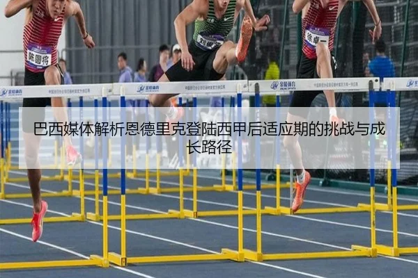 ba-xi-mei-ti-jie-xi-en-de-li-ke-deng-lu-xi-jia-hou-shi-ying-qi-de-tiao-zhan-yu-cheng-zhang-lu-jing-2-548.jpg